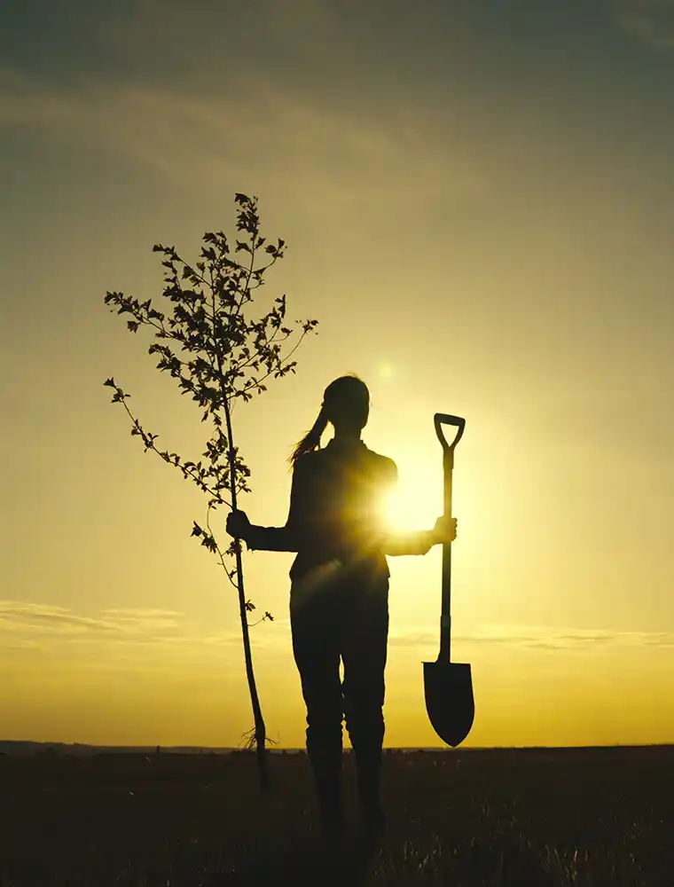 tree planting in tribute | Cancer Prevention Research Trust tree planting in tribute
